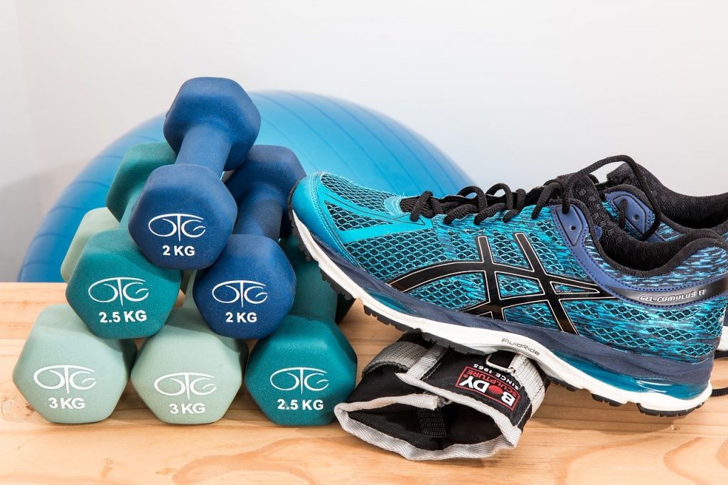 Dumbbells Training Fitness Gym  - stevepb / Pixabay